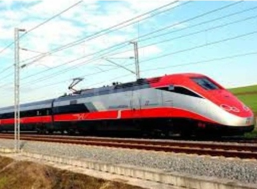 Discussione sulla stazione Tav del Garda in Senato