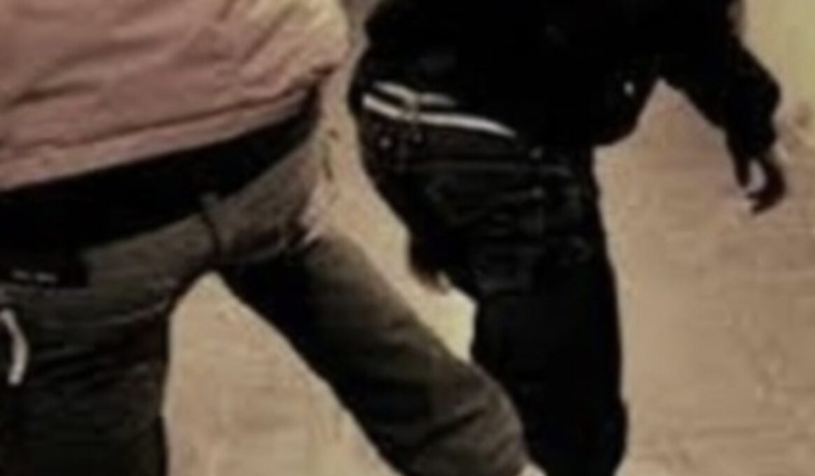 Toscolano Maderno: scontro tra genitori e minori per una cassa acustica