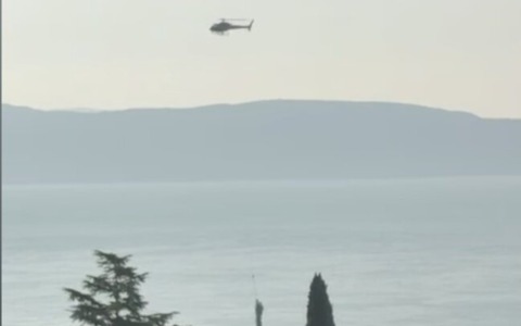 Recupero degli alberi al Vittoriale degli Italiani dopo il maltempo