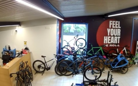 Salò, furto nel negozio di Sonny Colbrelli: ladro si finge cliente e agisce indisturbato